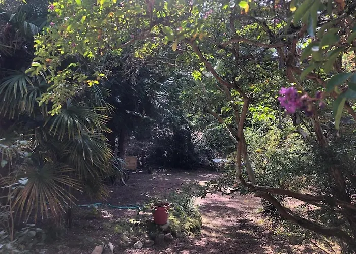 Grande Maison Familiale, Calme, Tranquille, 900 M De La * Longeville-sur-Mer