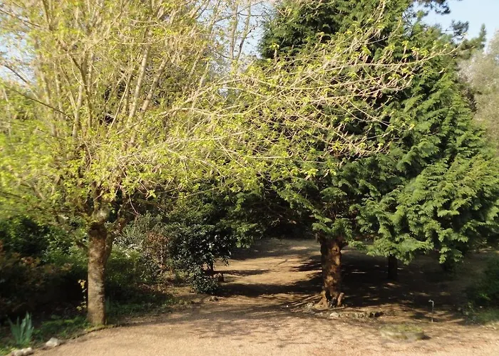 Grande Maison Familiale, Calme, Tranquille, 900 M De La Longeville-sur-Mer