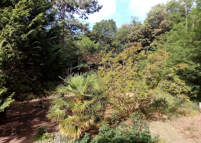 Grande Maison Familiale, Calme, Tranquille, 900 M De La