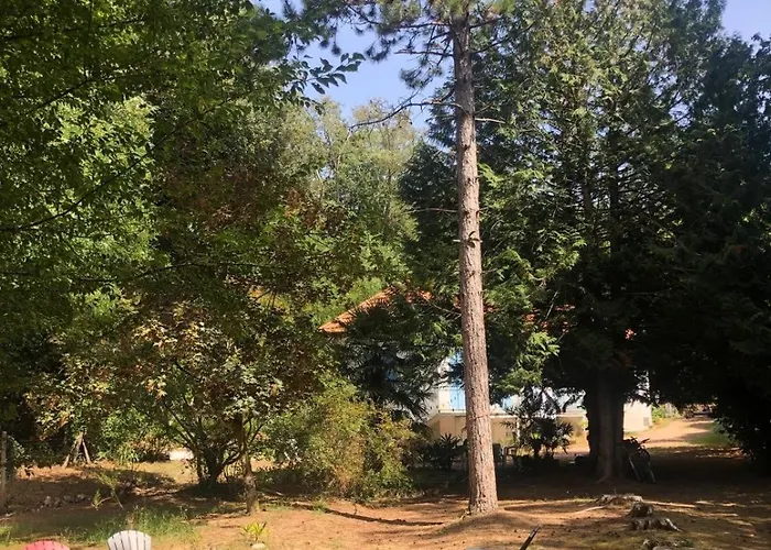 Tatil Evi Grande Maison Familiale, Calme, Tranquille, 900 M De La *