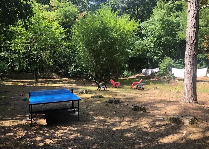 Grande Maison Familiale, Calme, Tranquille, 900 M De La *